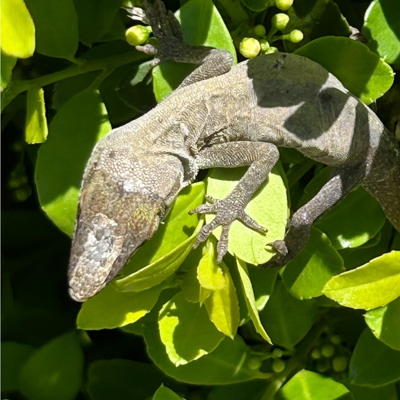 About me Photos🥳🥳❌❌ - Picture 12 of 14